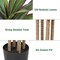 Dracaena Artificial Plant 6ft Red Yucca Silk Tree Faux Plants Indoor Tall Fake House Floor Plants Realistic Artificial Trees for Home Office Decor Indoor Outdoor Housewarming Gift